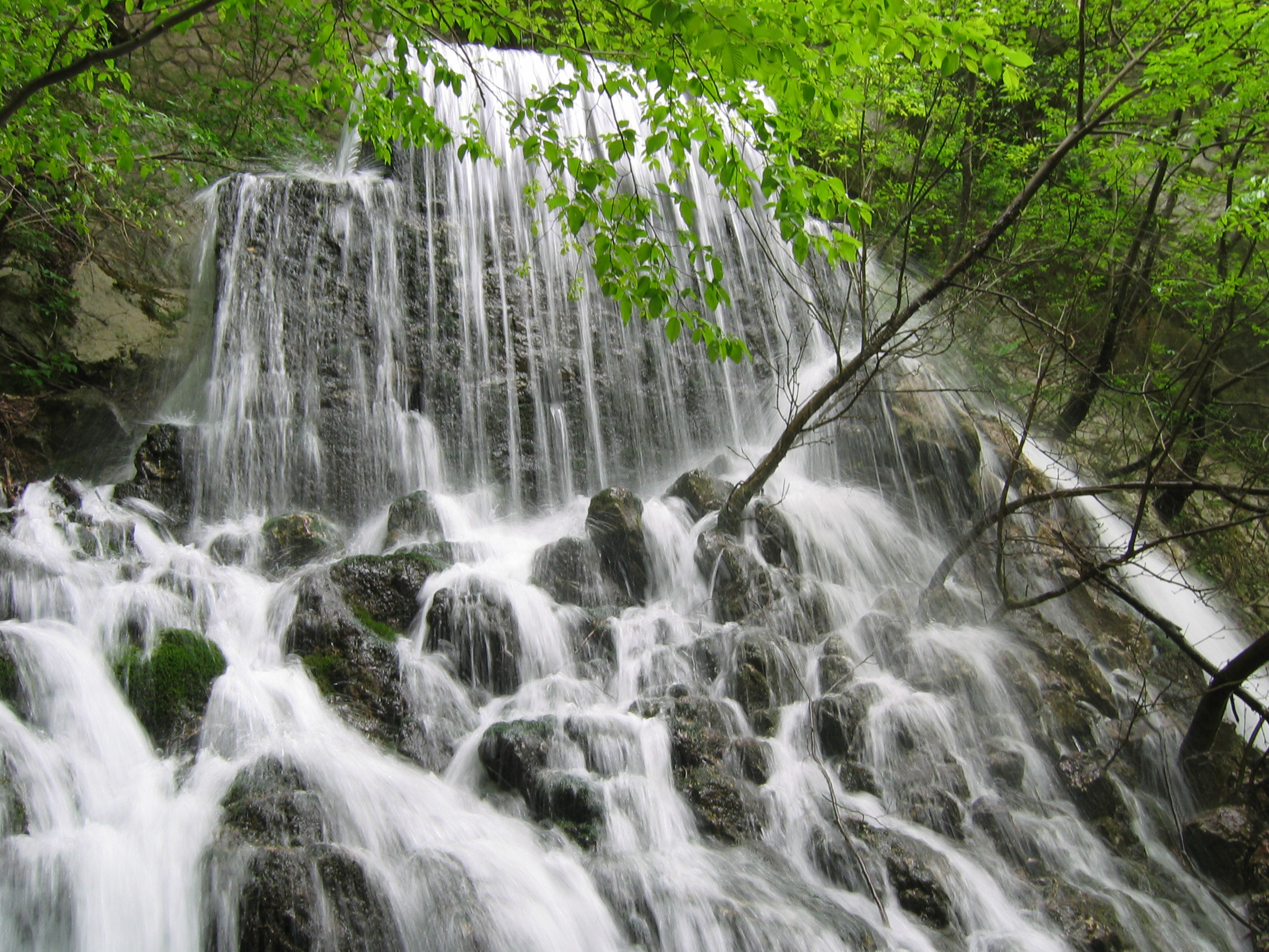 Downstream and Cascade